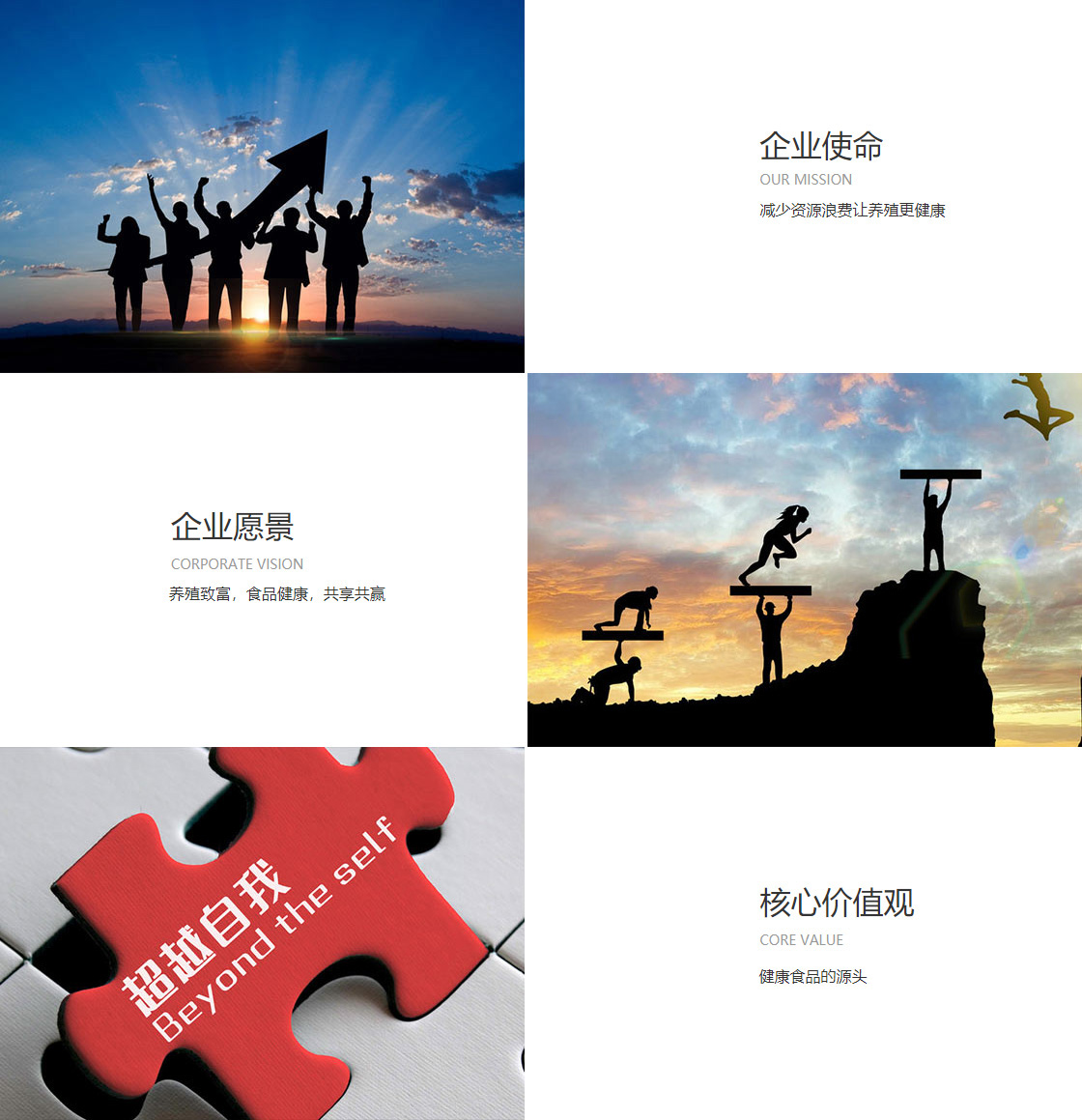 兴发娱乐官方网址(图1)